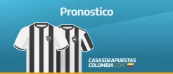 atletico mineiro vs botafogo: pronostico final copa libertadores 30-11.